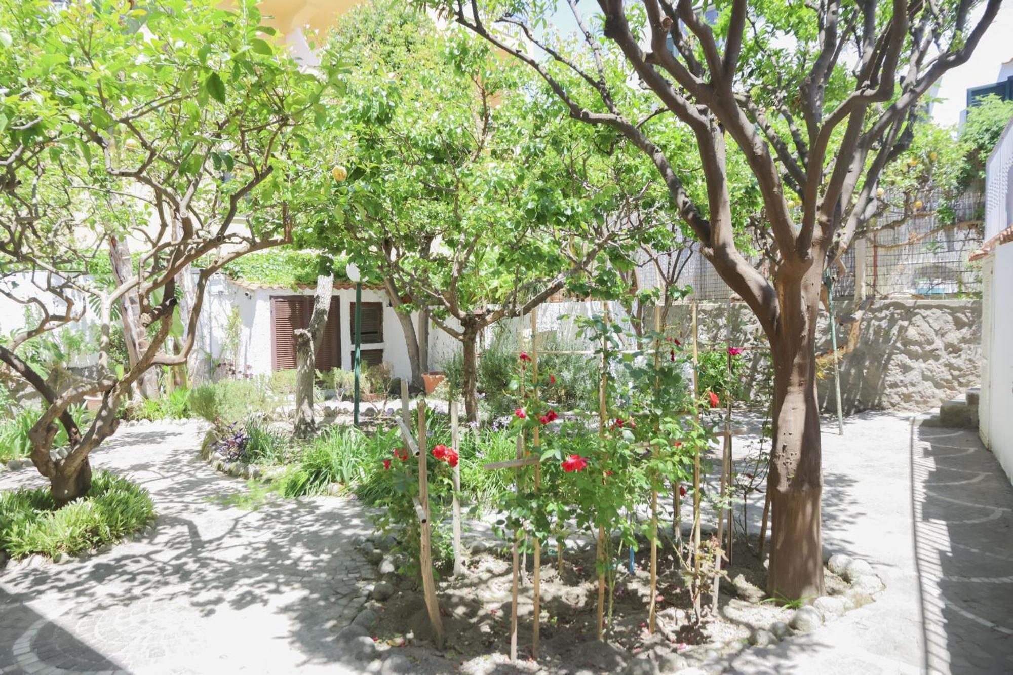 Hotel Cesotta Forio di Ischia Exteriér fotografie